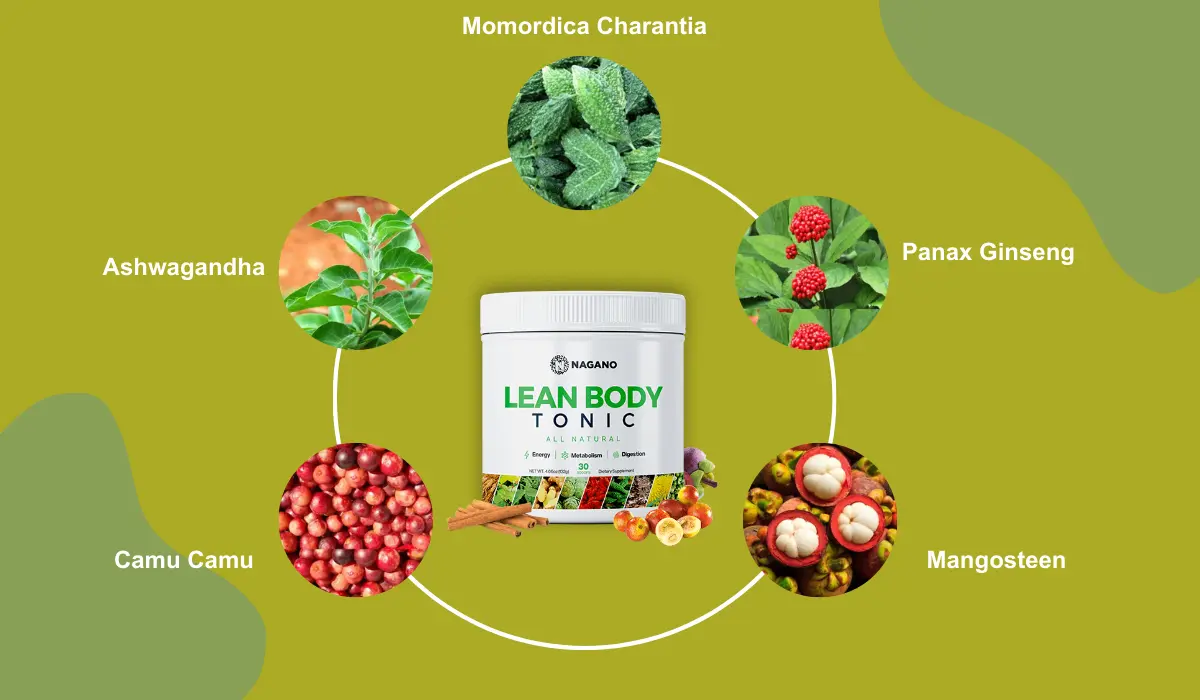 lean Body Tonic Ingredients